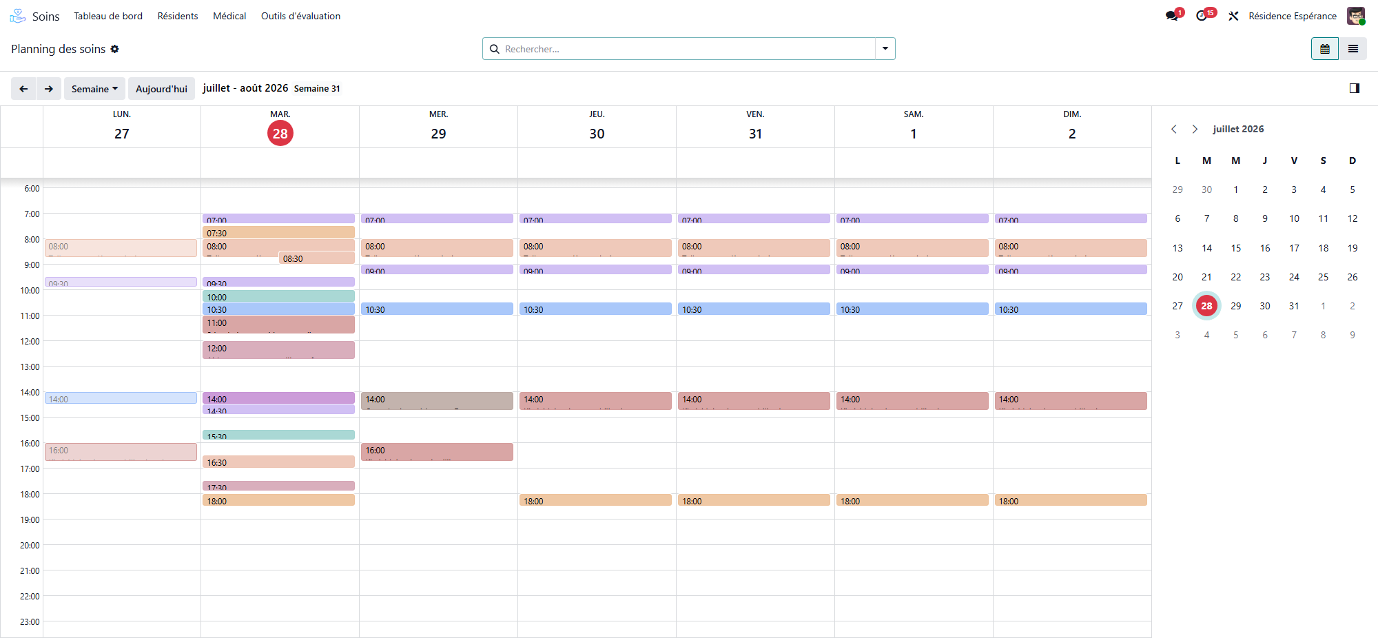 Weekly care schedule in calendar view, with the care tasks laid out by time slot